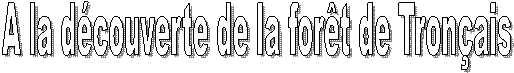 A la d�couverte de la for�t de Tron�ais
