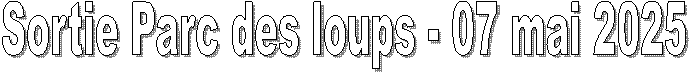 Sortie Parc des loups - 07 mai 2025